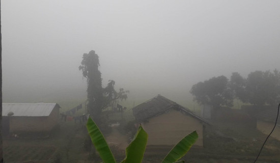 कैलालीमा शीतलहर र बाक्लो हुस्सु