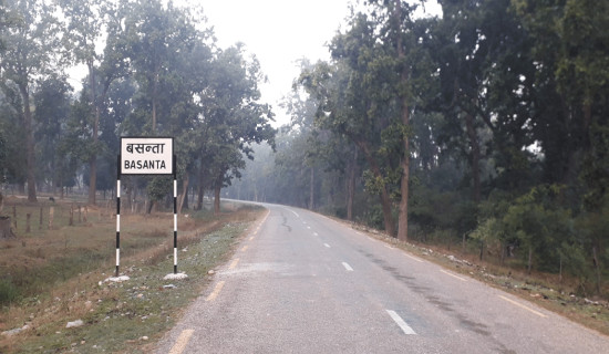 गाउँमा दिउँसै बाघ घुम्दा गाउँले त्रसित