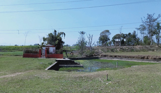 ओझेलमा लरैना मन्दिर