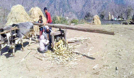 लोपोन्मुख हुँदै आइना–बातै