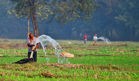 आलु र गहुँ खेतीमा व्यस्त किसान (फोटो फिचर)