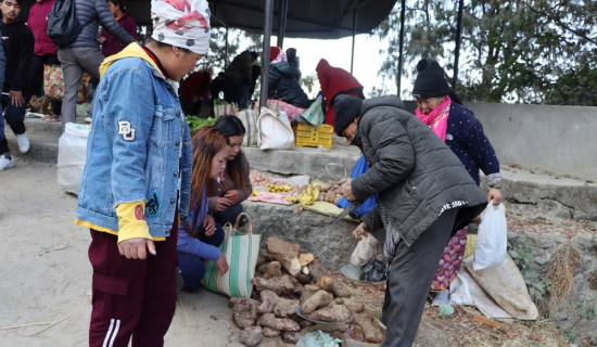 तरुल उत्पादनमा कमी हुँदा मूल्य महँगियाे