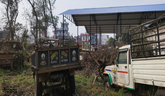 मुद्दा किनारा नलाग्दा सरकारी राजस्व गुम्दै