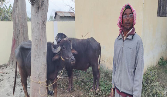 राँगा साट्ने किसानलाई एक लाख जरिवाना