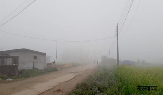 कैलालीमा बाक्लो हुस्सु