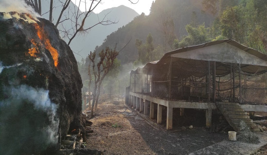 कुमालटारी कृषि फर्ममा आगलागी