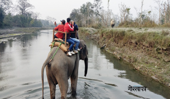 नीतिगत अस्थिरताको मारमा निकुञ्ज पर्यटन