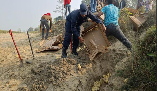 अवैध रुपमा भित्रिएको चल्ला नष्ट