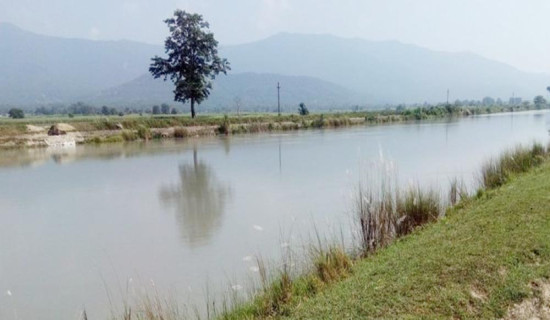 दुई नाबालकसहित एक महिला गण्डक नहरमा बेपत्ता