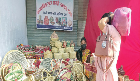 हस्तकलाका सामग्रीबाट आम्दानी गर्दै महिला