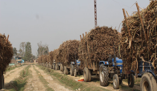 भुक्तानी नगरी अन्नपूर्ण चिनी उद्योग बन्द