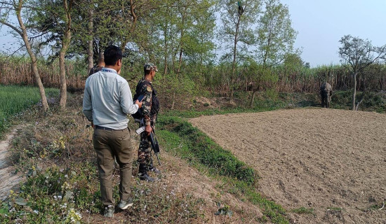 हात्तीको आक्रमणबाट एक जनाको मृत्यु