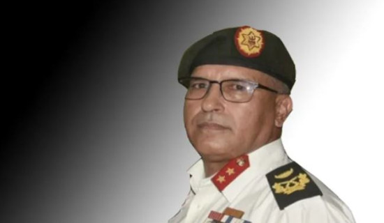 उपरथी शाही बर्खास्त