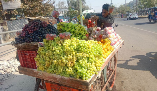 ठेला व्यापारबाट मासिक ६० हजार आम्दानी