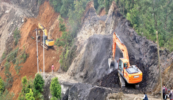 चार वर्षमा बाइस प्रतिशत काम