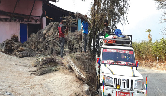 कुचो उच्च मूल्यमा