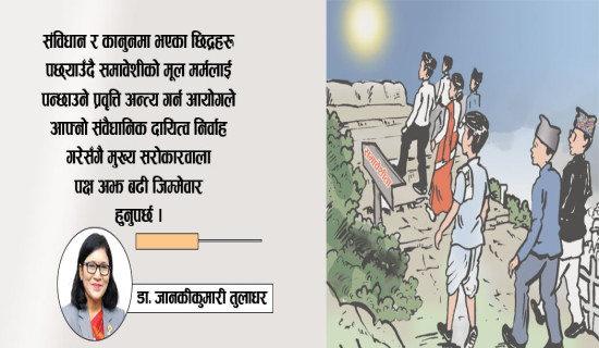 समावेशी प्रतिनिधित्वको बहस