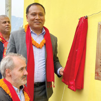 रोजगारदातालाई ‘एफईआईएमएस’मा पहुँच
