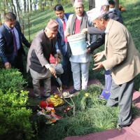 आगोले जलेकी महिलाको मृत्यु