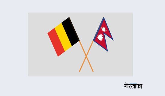 बेल्जियममा नयाँ बर्षमा नेपाल फेष्टिवल मनाइँदै