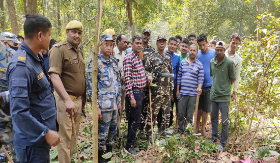 बाघको आक्रमणबाट एक महिलाको मृत्यु