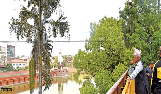 रानीपोखरी खुला