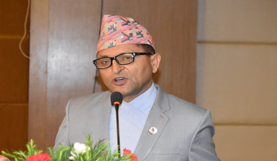 महिला सहभागिता बढ्दै