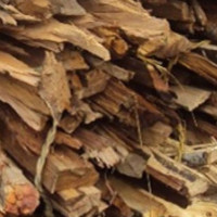 दाउरा प्रयोग घटेपछि जङ्गल हराभरा
