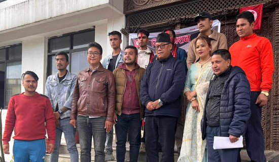 नेविसंघको १२ औं महाधिवेशन आठ महिनाभित्र सम्पन्न गर्ने निर्णय