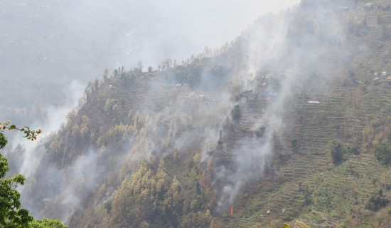 जङ्गलमा लागेको आगोले बस्ती जोखिममा