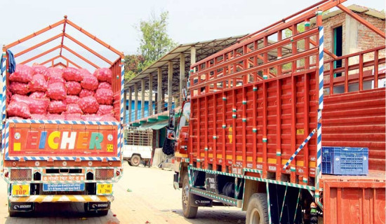 २९ दशमलव नौ प्रतिशतले घट्यो निर्यात