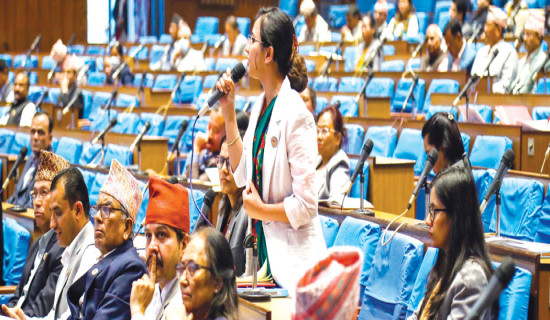 गणपूरक नपुगेपछि कार्यसूची प्रभावित