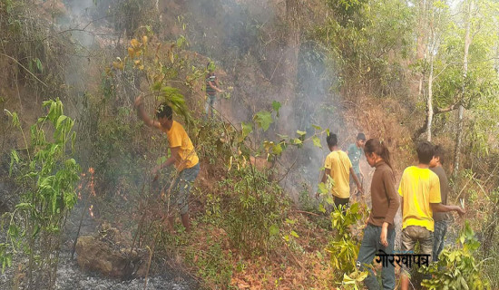 डढेलो फैलिन थालेपछि बस्ती जोखिममा