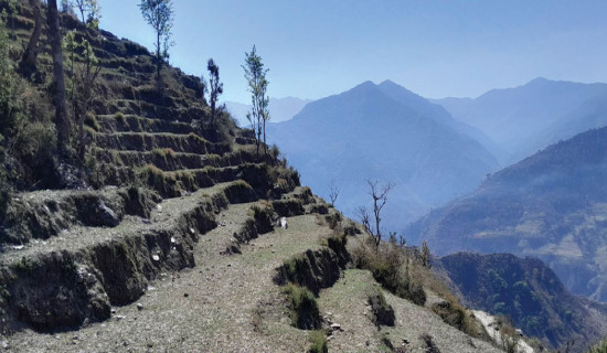 बाँझो जमिनको तिरो तिर्न भारतमा नोकरी