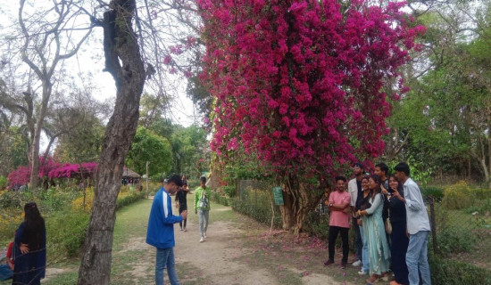 आन्तरिक पर्यटकको रोजाइमा ढकेरी पार्क