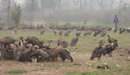 जटायु रेष्टुरेन्ट पर्यापर्यटन र अध्ययनको गन्तव्य बन्दै