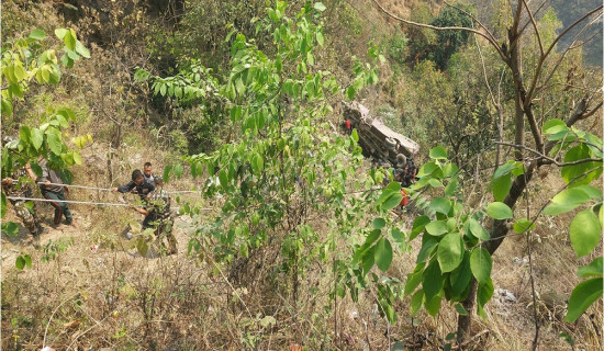 पाल्पाको जोरधारामा बस दुर्घटना : एकको मृत्यु, ११ घाइते