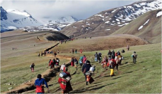 मनाङवासी यार्सागुम्बा टिप्न हिमाली भेगतर्फ