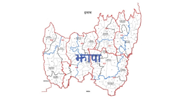 स्कुल बसले ठक्कर दिँदा बालिकाको मृत्यु