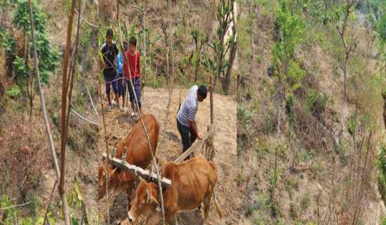 पढ्दै कमाउँदै कार्यक्रम सुरु