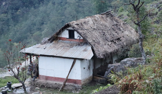 चुहिने घरमा जोखिमपूर्ण बास