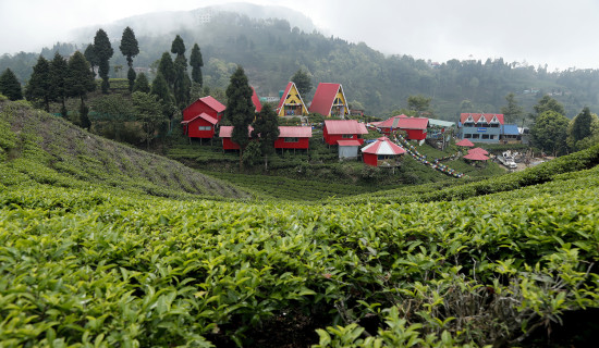 साताका सात तस्बिर