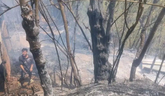 माधवको कोरिया फर्कने चाहना अधुरै रह्यो