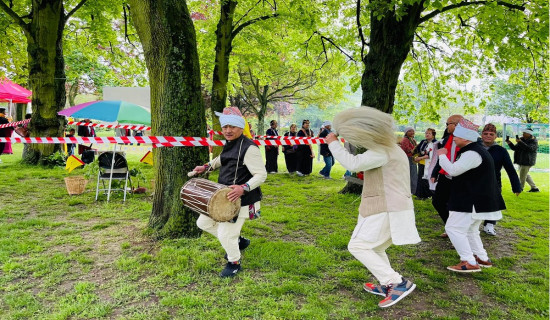 बेल्जियममा मनाइयो साकेला उँभौली पर्व