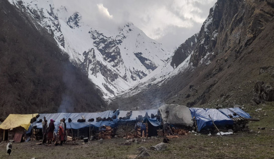 सर्वसाधारण हिमाली पाटन क्षेत्रमा