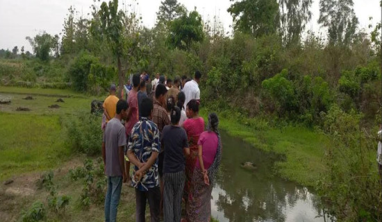 नहरमा डुबेर युवतीको मृत्यु