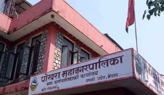 पोखरा महानगरले व्यावसायिक बन्न तालिम दिँदै