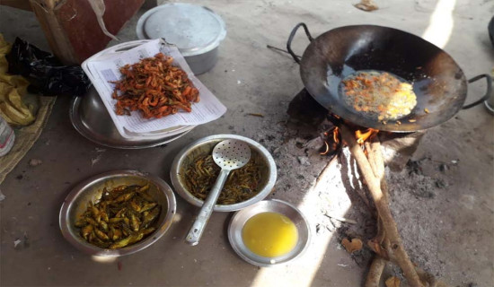 कर्णालीको माछा आम्दानीको माध्यम