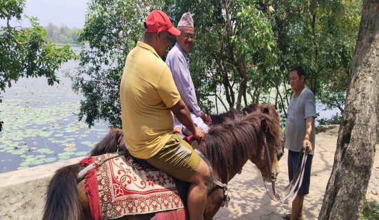 घोडाघोडीमा घोडा सवारबाट ताल अवलोकन गर्ने व्यवस्था