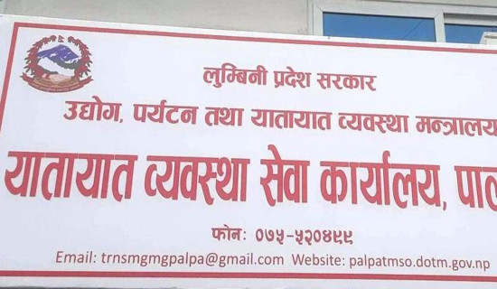 चालक अनुमतिपत्र नवीकरण पाल्पाबाटै